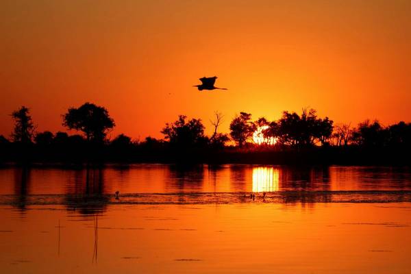 Okavango Delta shutterstock_1638555982.jpg