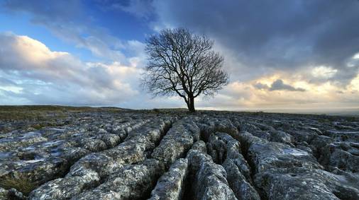 7 Night Southern Yorkshire Dales Christmas & New Year Self-Guided Walking Holiday