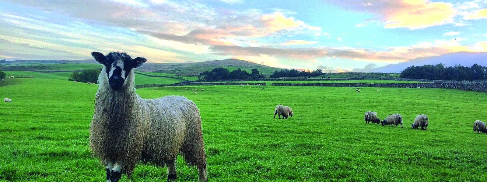 Malham - Ribblesdale.jpg