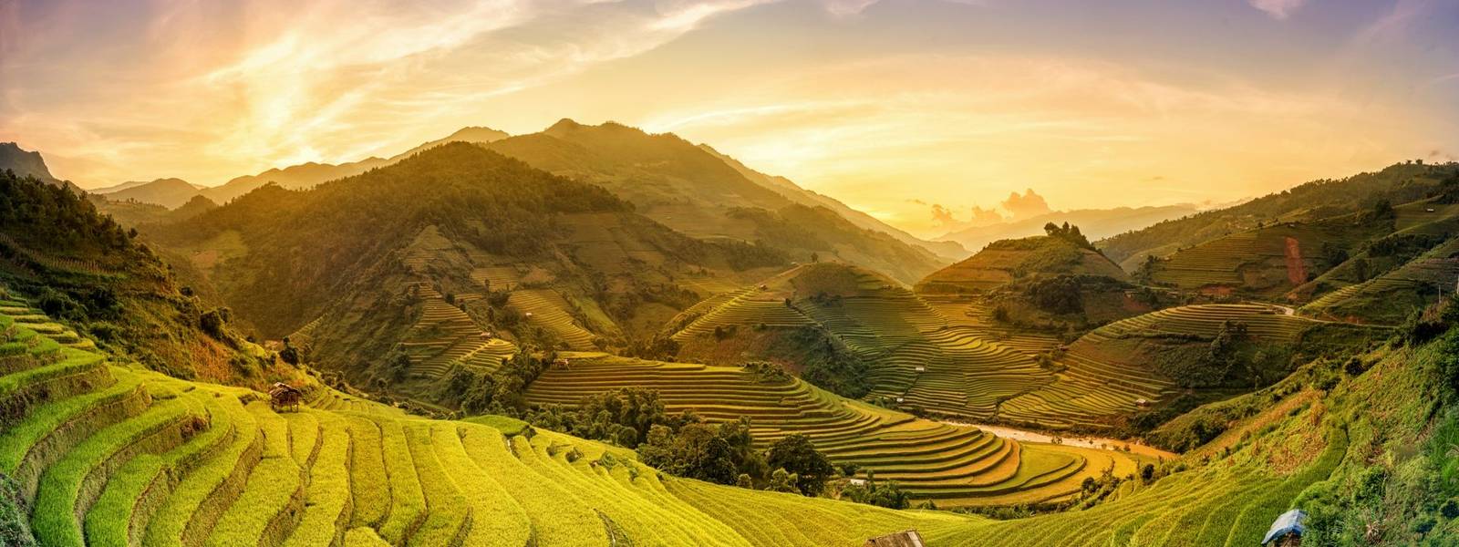 Rice fields on terraced in sunset at Mu chang chai, Yen bai, Vietnam. Rice fields prepare the harvest at Northwest Vietnam