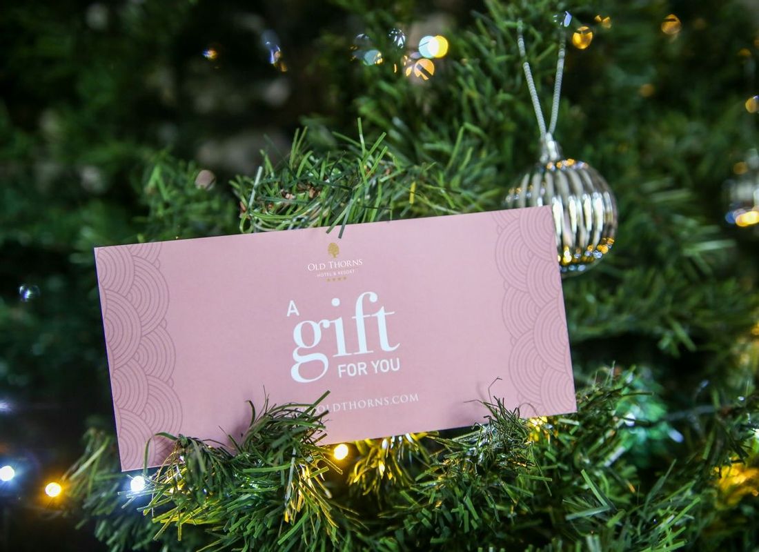 Hotel gift voucher laying on Christmas tree branch