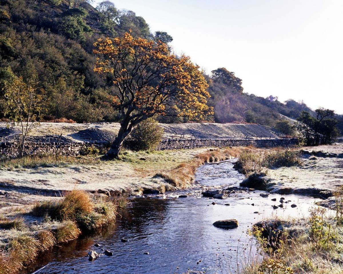 Stream with frost on banks, Near Woodall, Wensleydale, Yorkshire Dales, England, Western Europe.