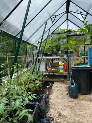 The greenhouse at Derwent Bank