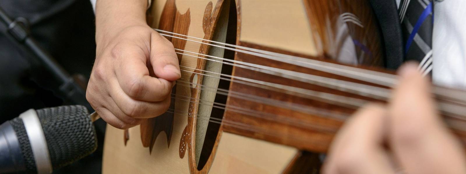 Musician Playing Note on Lute