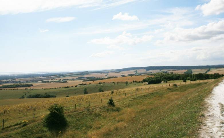 View from The Trundle near Goodwood.JPG