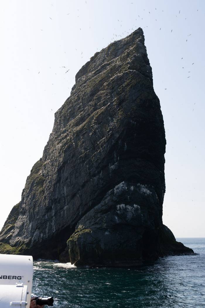 Stac an Armin, St Kilda (Sara Frost).jpg
