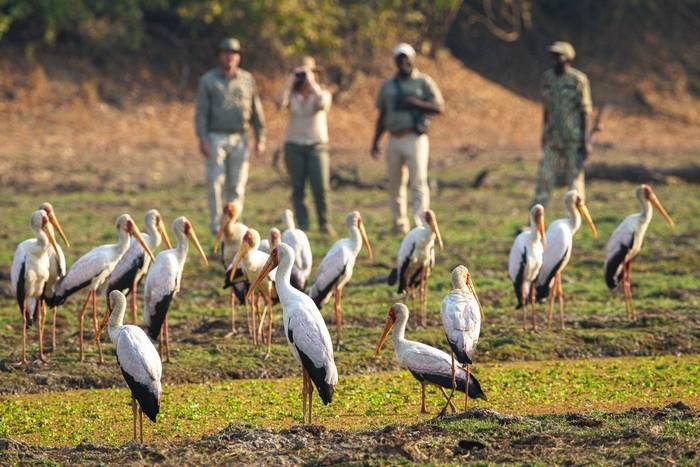 RPS Nsefu 07-24-196e.JPG