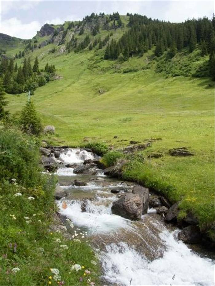 Alpine Stream