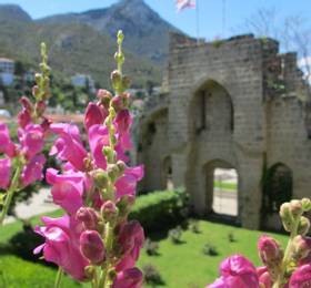 Visit Buffavento Castle for magnificent views; walk to Bellapais village