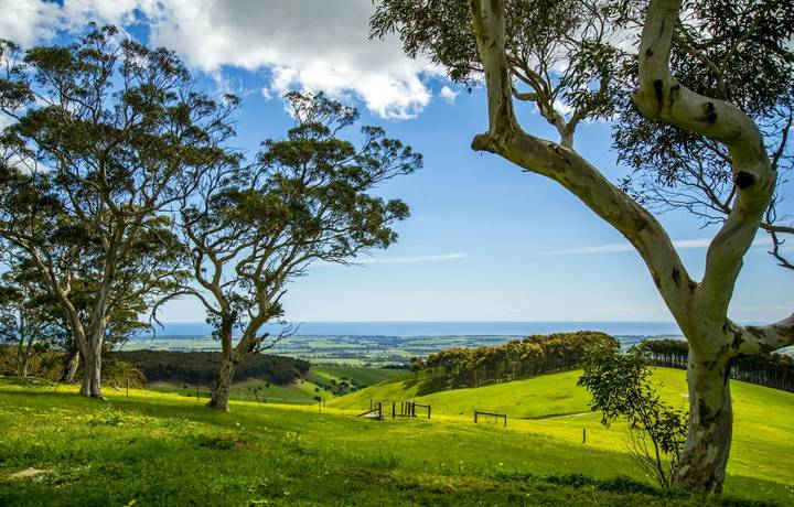 Images of Adelaide green Hills view. Images of Adelaide green Hills view.