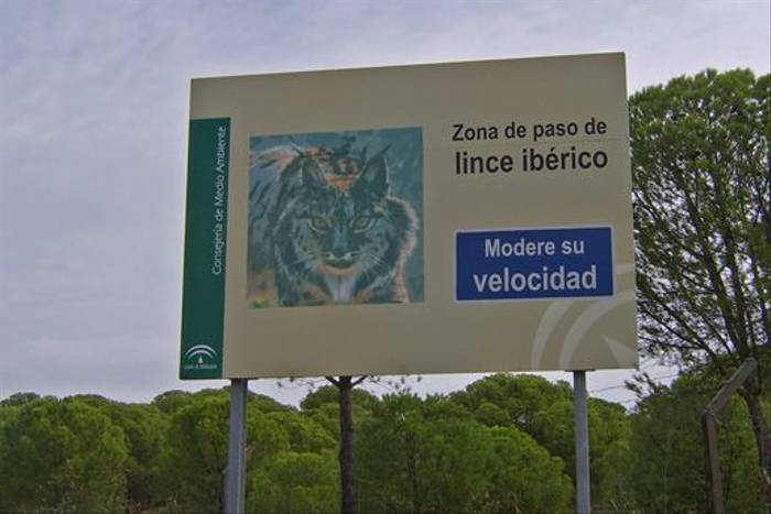'Territory of the Iberian Lynx - watch your speed' (Andy Tucker)