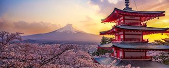 Highlights of China & Japan in Bloom