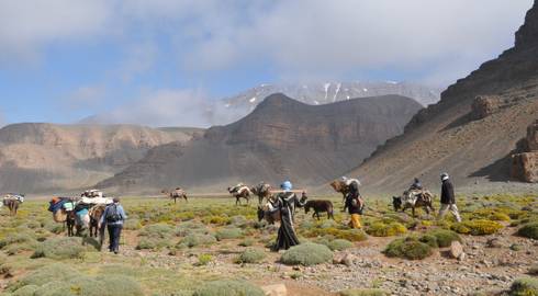 MARRAKECH to MARRAKECH (11 days) Trek Morocco - The Berber Migration