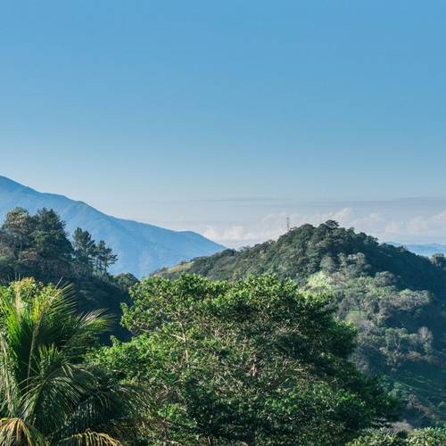 The Best Costa Rica Wellness Travel Experiences for US Travelers