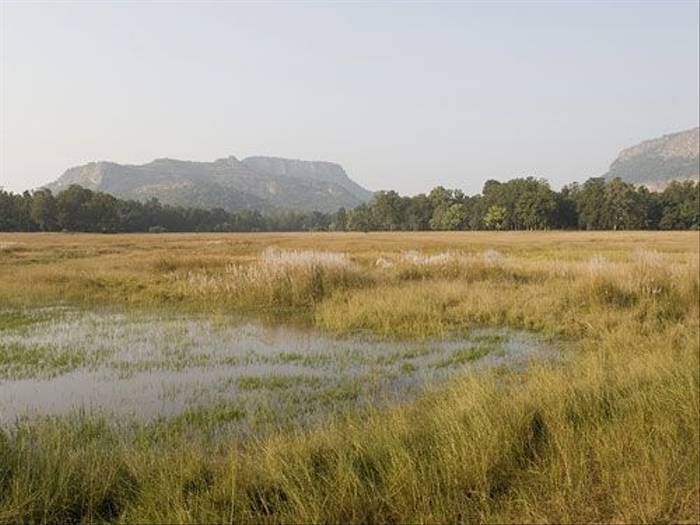 Bandhavgarh National Park (Paul Marshall)
