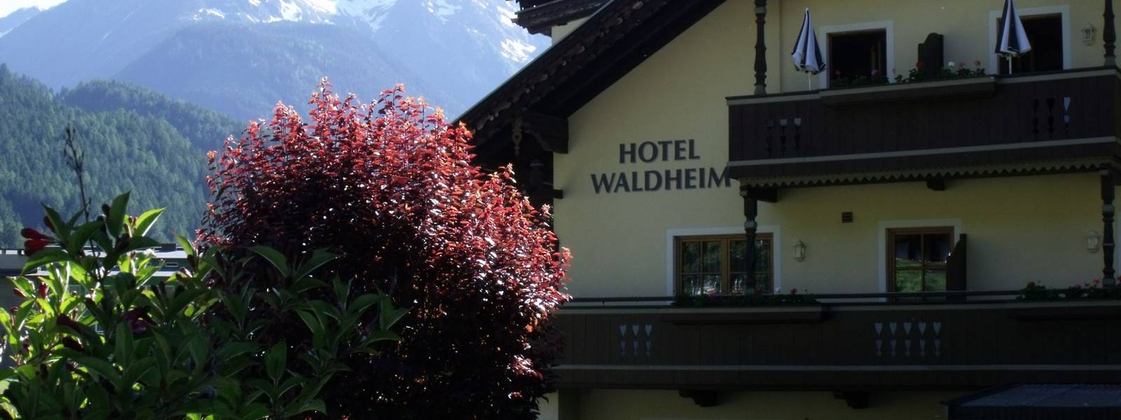 Austria - Mayrhofen - Zillertal Alps - Hotel Waldheim - Italy & Austria 2010 057.jpg