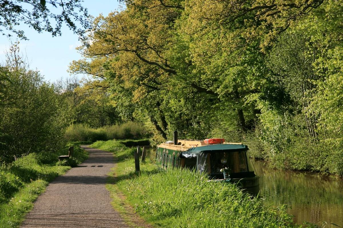 Brecon Canal towpath.JPG