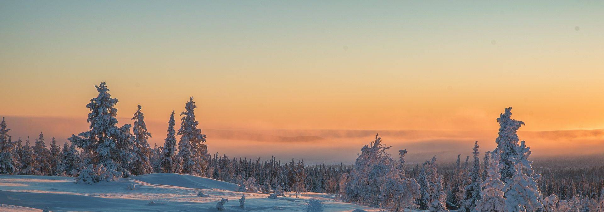 Harriniva Credit Antti Pietikäinen