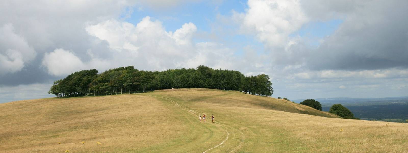 Chanctonbury Ring.JPG