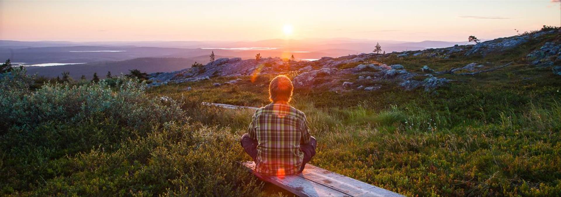 Midnight Sun 8