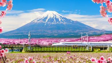 Free Flights - Secondary Image.jpg