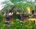Sapana Village Lodge Chitwan outside.jpg