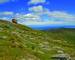 Snaefell with the tram to the summit_Isle of Man_554.jpg