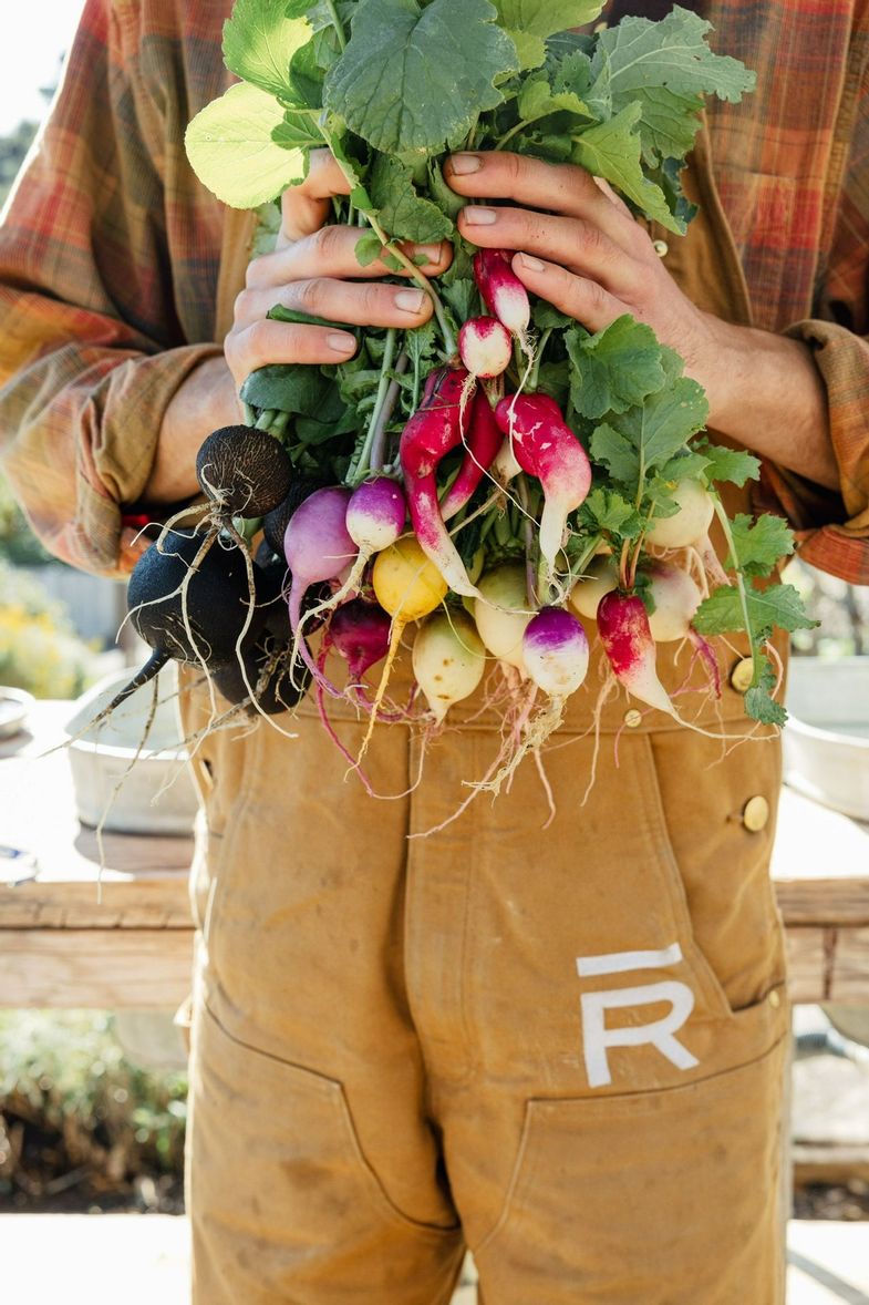 The Ranch Malibu garden.JPG