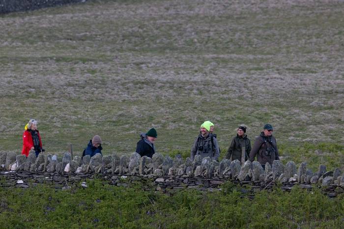 Birding walk on Calf of Man (Sara Frost).jpg