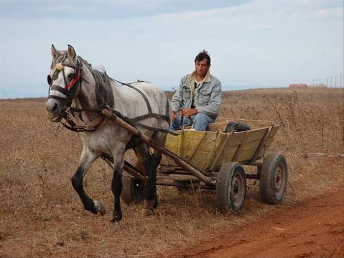 Bulgarian horse and cart (David Morris)