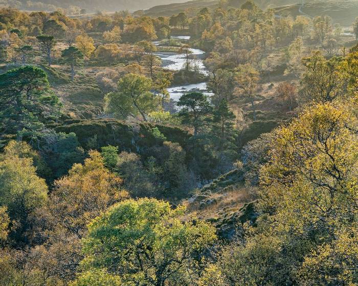 Glen Mohr Autumn, Sutherland, Scotland, Ross Brown.jpg