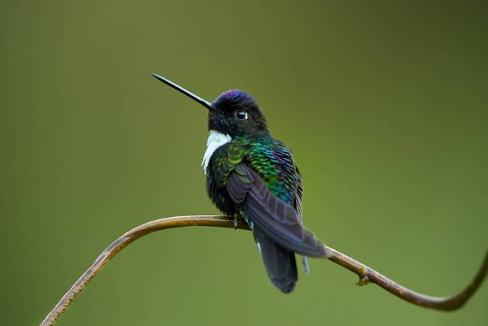 shutterstock_355532501.jpg