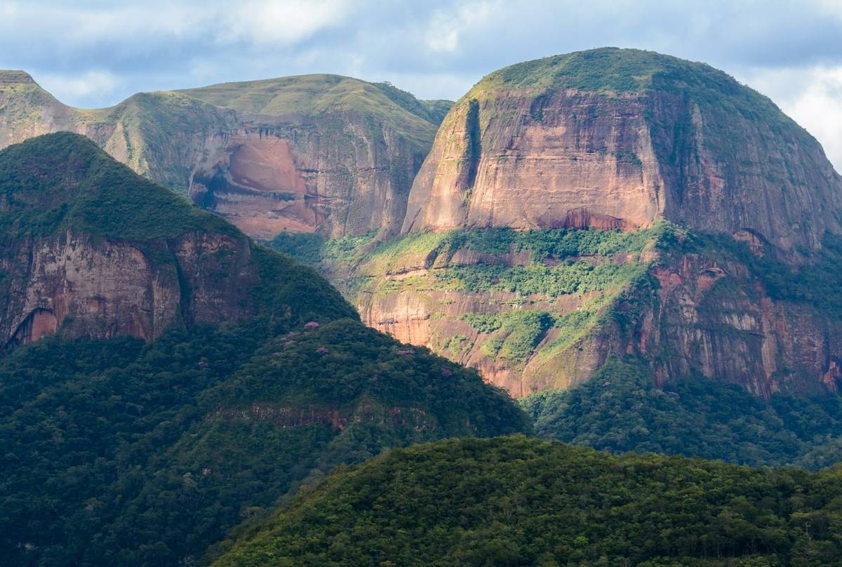 Amboro National Park, Boliviashutterstock 726268615
