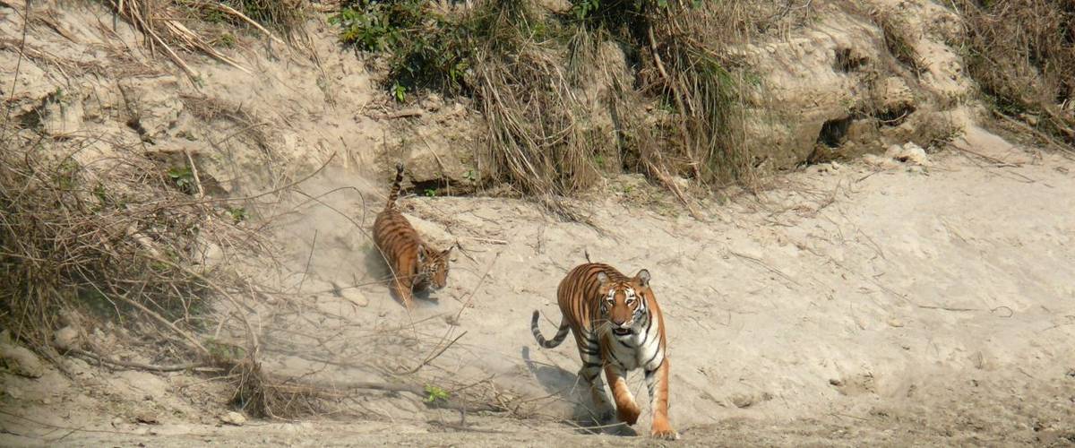 Bardia National Park