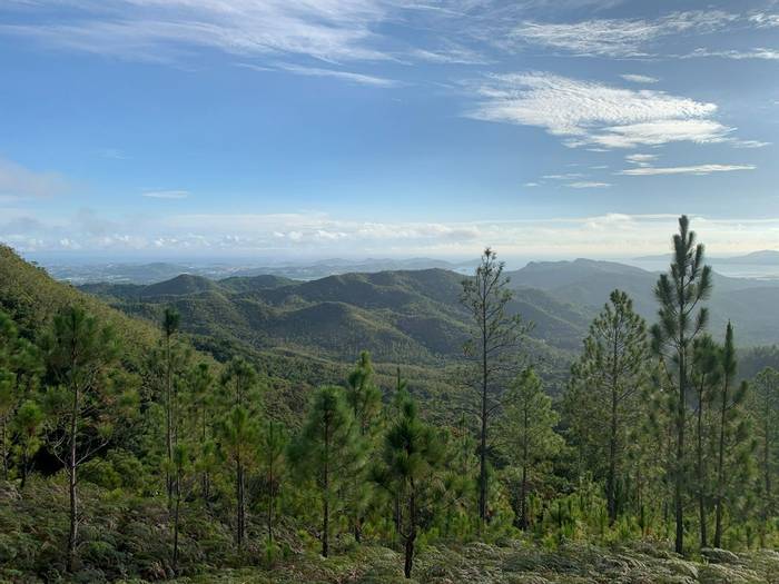View from Mt Koghi, New Caledonia, Matt Eade.jpg