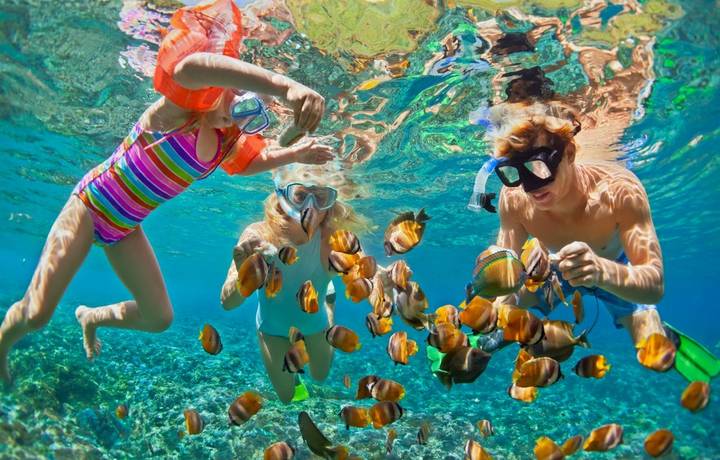 Day2_shutterstock_695392744.jpg Day2_shutterstock_695392744.jpg