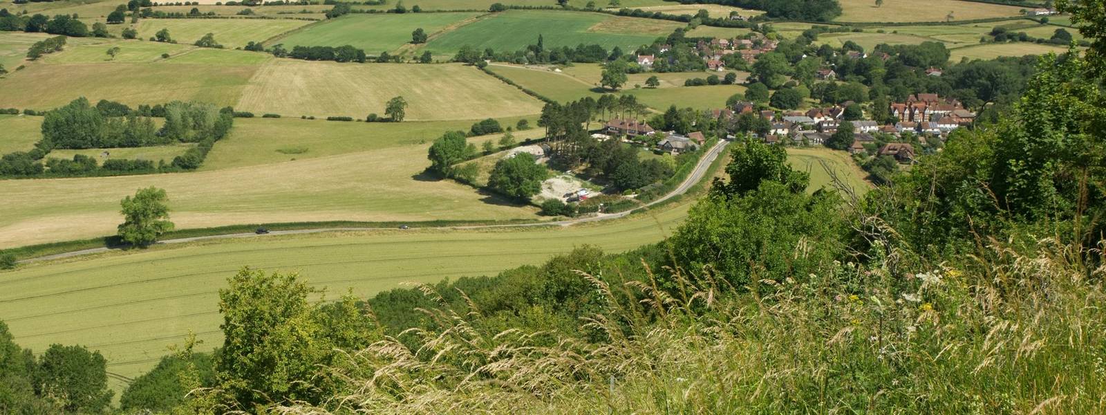 The Weald from South Downs, Sussex, England