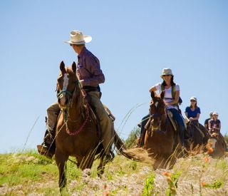 zion-mountain-ranch-horseback-riding.jpg