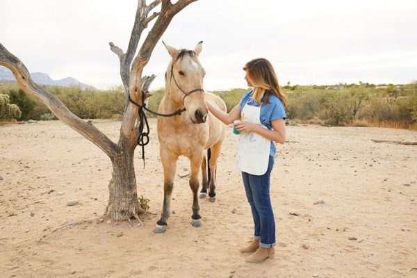 Miraval Arizona equine therapy painting.jpg