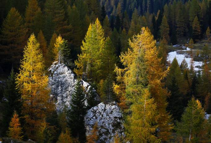 Autumn in the Dolomites (Luca Boscain)