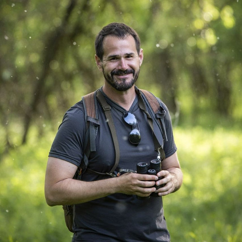 Máté Havasi