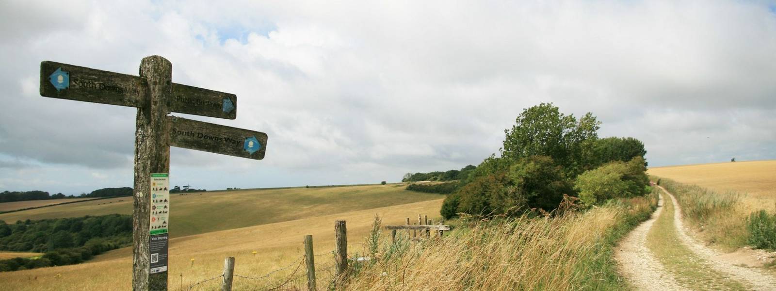 South Downs Way Sign near Chanctonbury Ring.JPG