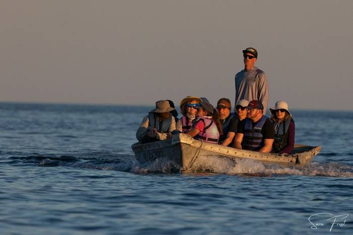 Sunset boat ride (Sara Frost).jpg