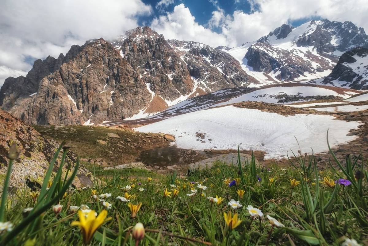 Tien Shan Mountains, Kazakhstan shutterstock_2473641429.jpg