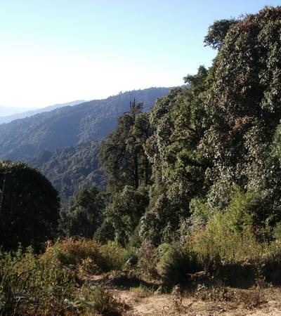 Singalila Ridge