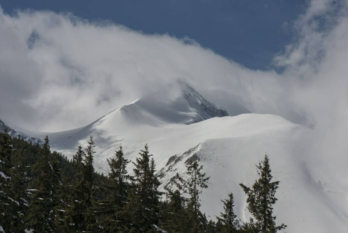 AdobeStock_320817124.jpeg