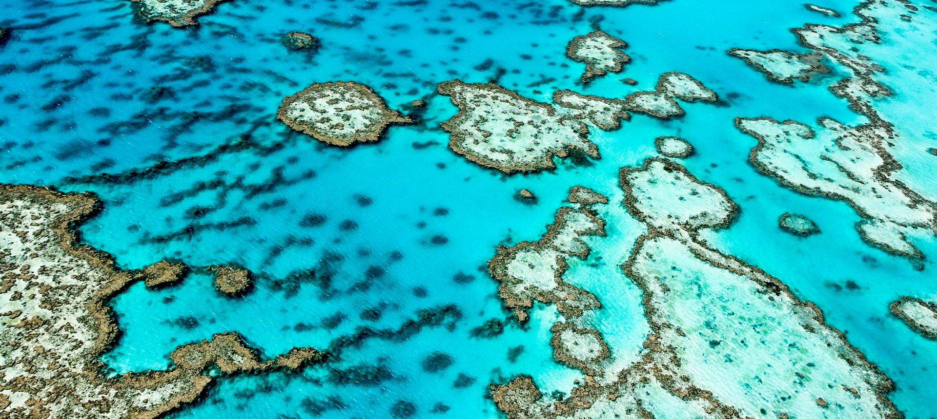 Great Barrier Reef. Shutterstock 134885012