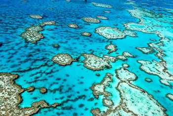 Great Barrier Reef. Shutterstock 134885012