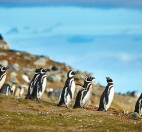 Punta Arenas