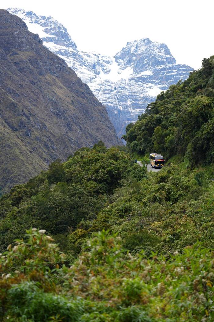 Bolivian Yungas © Luis Panama, October 2025